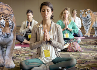Woodland Park Zoo Announces Spring Yoga with Motherfucking Tigers