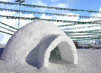 Remote Worker Still Not Remotely Aware She Lives in Igloo Now