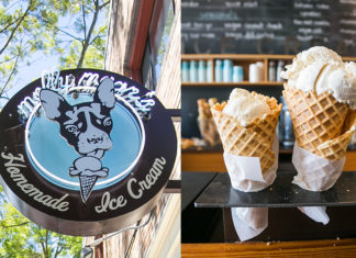 DEA Classifies Molly Moon’s as Schedule 1 Drug