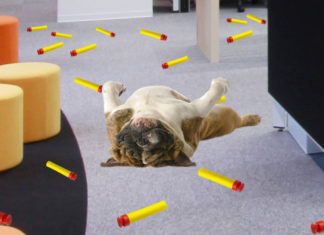 Office Nerf War Gets Fucking Real As Dog Accidentally Hit In Crossfire