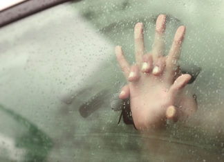 The Next Titanic? This Couple on a Bremerton Ferry is Raw-Dogging in a 2002 Toyota Corolla
