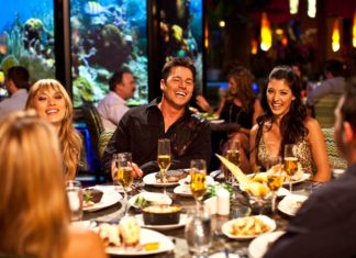 Seattle Aquarium Unveils Thanksgiving ‘Orc-Porp-Phin’ Feast for Wealthy Donors