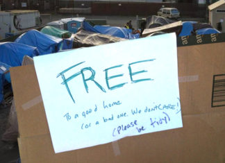 Seattle Places Cardboard ‘Free’ Sign On Homeless Encampment In Hopes Portland Takes It
