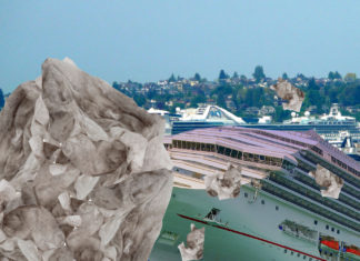 Ship Collides with Giant Sewer Ball of Lysol Wipes in Puget Sound