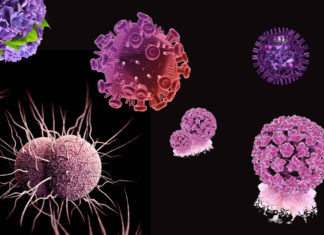 Aw! 5 Adorable STDs That Still Think They’re Scary