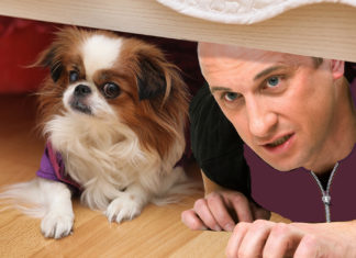 Man Utterly Traumatized by 2020 Just Gonna Pick Up ThunderShirt for Self Too