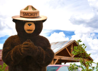 Smokey Bear Authorized by NPS to Maul Noncompliant Campers