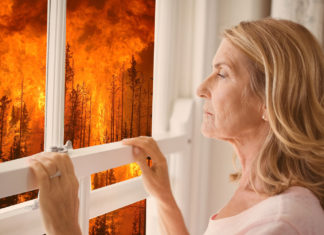 Local Woman Just Thinks Flaming Forest Could Find More Peaceful Way to Protest Climate Change