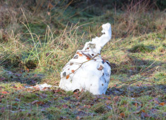 Melting Snowman Curses Eight-Year-Old Creator for Pain of Fleeting Existence
