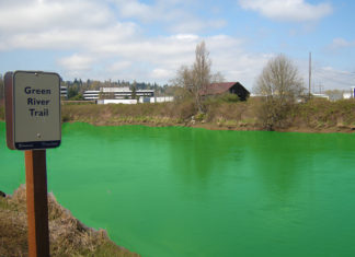 Duwamish River to Remain Green for St. Patrick’s Day