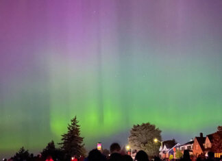 Space Needle Puts On Stunning New Year’s Northern Lights Show
