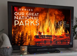Netflix Fireplace Left Unattended Burns Through 300 Hours of Nature Documentaries