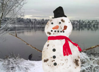 Green Lake Snowman Absolutely Riddled With Goose Poop