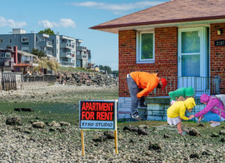 Alki Beachgoers Stunned as Low Tide Reveals Studio Apartment with Rent Under $800