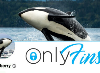 Orca Sick of Being Watched for Free Launches OnlyFins Account