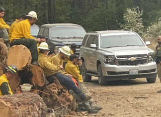 ICE Arrests Firefighters Caught Attempting to Murder Wildfire