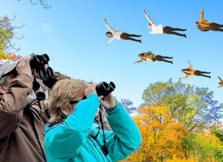 Flocks of White Women Seen Flying North As Pumpkin Spice Season Begins