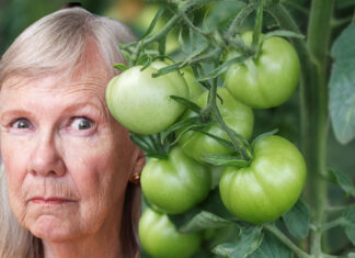 Gardener Convinced Green Tomatoes Just Fucking With Her Now