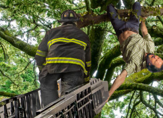 Seattle Fire Rescues Eddie Vedder Stuck in Tree