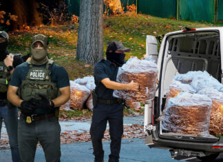 ICE Detains Leaves as They Turn Brown