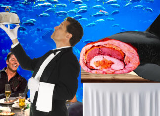 Seattle Aquarium Holds Thanksgiving ‘Orc-Porp-Phin’ Feast for Wealthy Donors