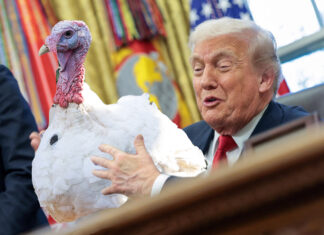 Pardoned Turkey Still Seeking Pardon from Hanging Out with Trump