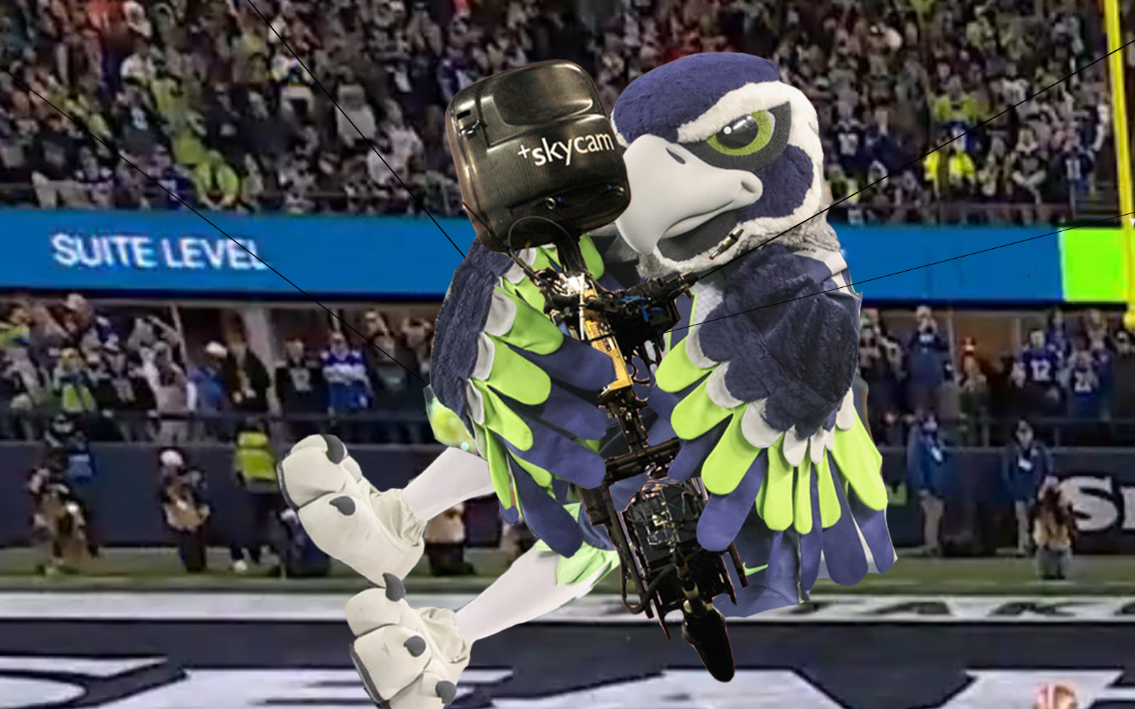 Timeout: Blitz the Seahawk Attempting to Mate with the SkyCam Again