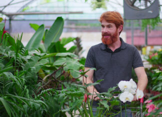 Local Plant Addict Just Signs Paycheck Over Directly to Swansons Nursery