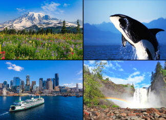 Millionaires Tax Erases Only Advantage of Living in Sad, Barren Wasteland