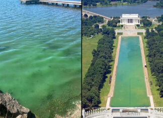 Despite Striking Resemblance, Green Lake Confirms No Relation to D.C. Reflecting Pool