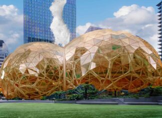 Bezos Balls Return to Natural Color After Busting a Union